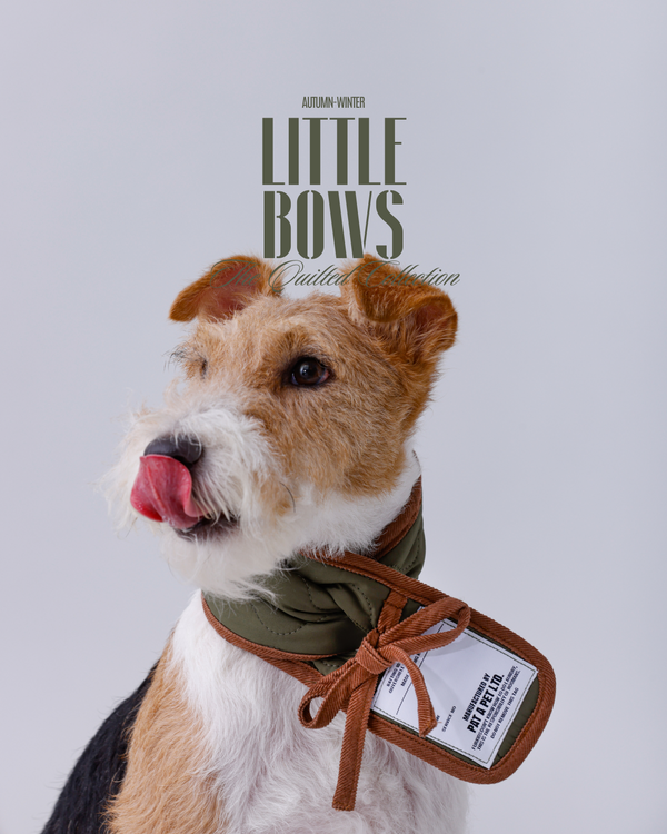 LITTLE BOWS -  Furry Friend Quilted Scarf - Army Green